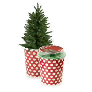 Kerstboom relatiegeschenk
