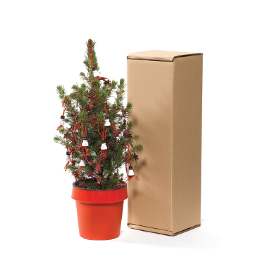 Kerstboom kopen als relatiegeschenk