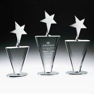 Custom made award