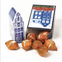Bloembol geschenkdoosje