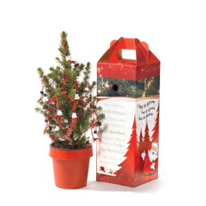 Kerstbomen kopen, kerst relatiegeschenk