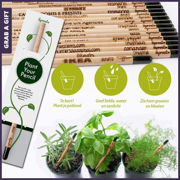 Sprout potlood met logo. Plant je potlood!
