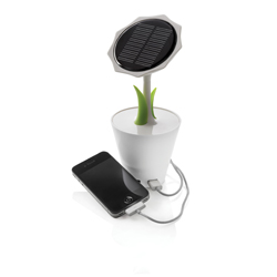 ECO producten
