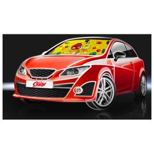 Compacte autozonnescherm