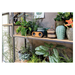 Bamboe speaker 10W