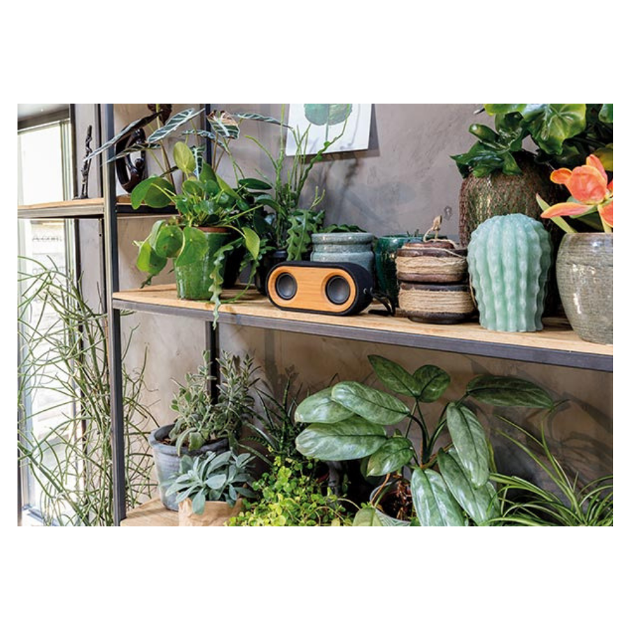 Bamboe speaker 10W