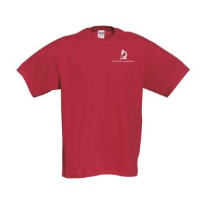 Gildan Heavyweight T-shirt Heren