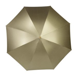 Gouden Paraplu