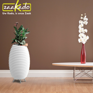 Kooduu - bluetooth speaker, lamp en wijnkoeler in één met plant
