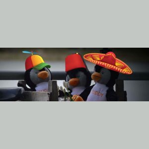 Custom knuffels in eigen vorm