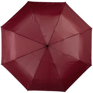 Alex 21.5 inch 3 sectie automatische paraplu met bedrukking