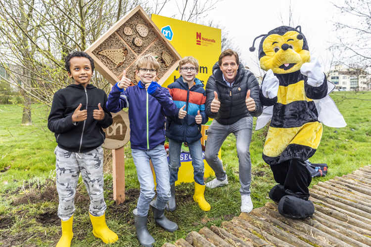 Insecten sparen bij Albert Heijn