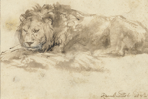 Rembrandt De liggende Leeuw