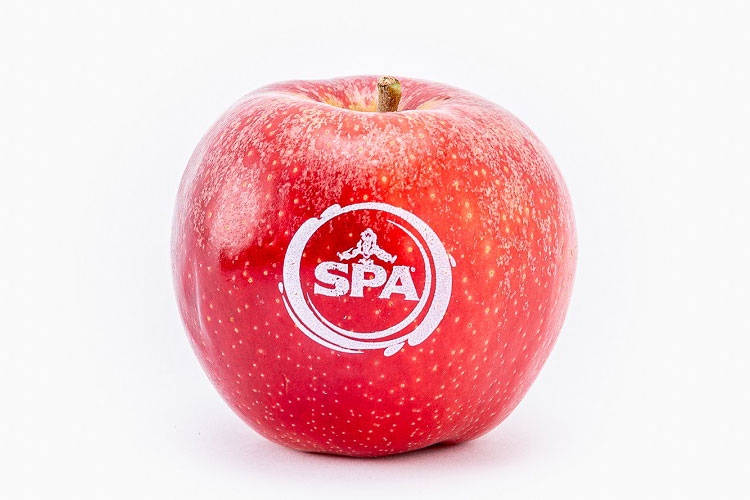 Appel met logo Bedrukt-fruit.nl