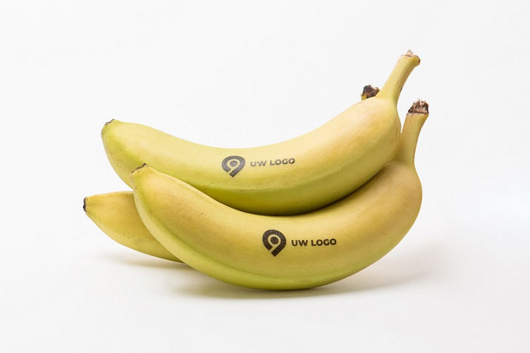 Bananen met logo Bedrukt-fruit.nl