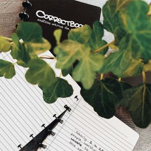 Correctbook