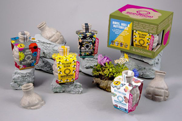 Seedbom Birds Bees Butterflies Gift