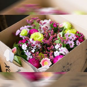 Bloombox bloemen cadeau