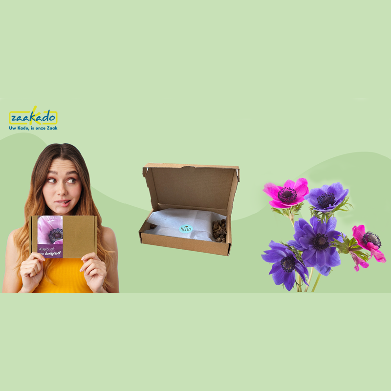Bloemen brievenbuspakket (1)