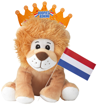 Oranje artikelen: relatiegeschenken voor koningsdag, WK of EK voetbal, formule 1