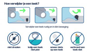 Hoe verwijder je een teek met de Tekenkaart