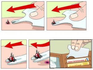 Instructies Tekenkaart