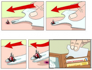Instructies Tekenkaart