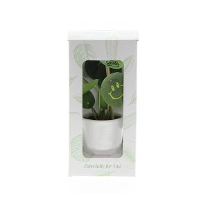 Smylieplant®