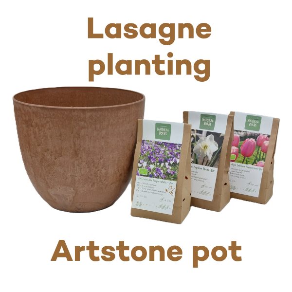Lasagne planten met biobollen