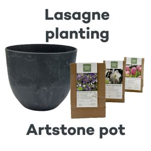 Biologische bloembollen lasagne met mooie Artstone pot - kleur zwart