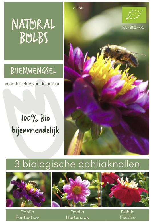 Dahlia bijenmengsel - 3 stuks - biologisch