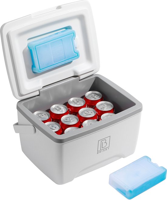 Brisby 8L koelbox frigobox ideaal voor personalisatie