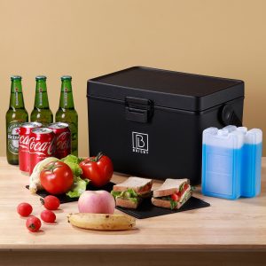 Brisby 12L koelbox frigobox, perfect als relatiegeschenk
